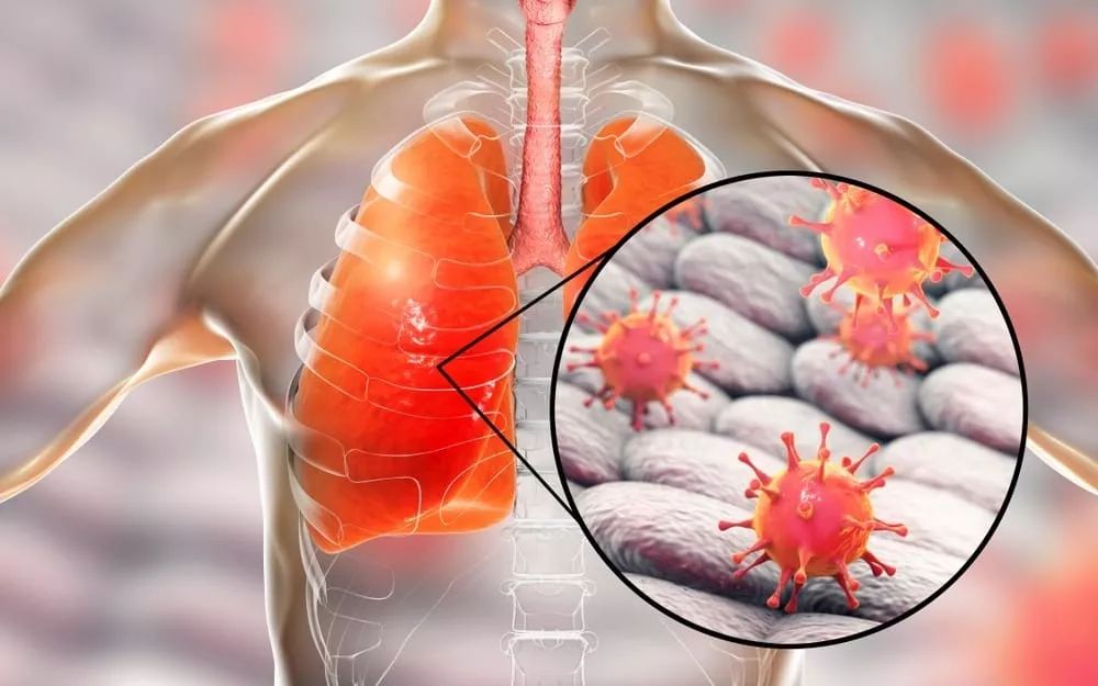 关于风云突变浙江稠州转会期完成体检，德国杯版图或变，引发热议，医务组通报恢复的信息-开云体育app