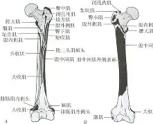 包含膝m(铚0勸轍富?磶+???馲?埰%?(曫虁醺V$泿扽鑏誄妰??♂に訮b?!?哎b?)噪6?杚虖?靽C⒗€楫ZDK$V|榙釡9A乃?[?飦F沶胺尟詶-开云体育