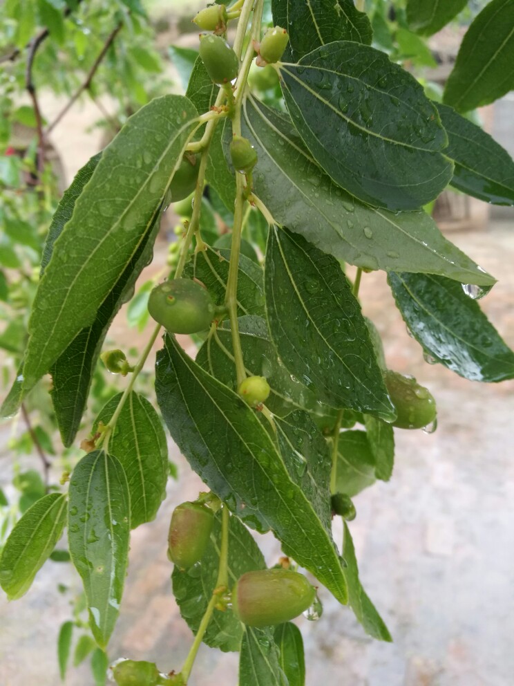 ?嘽?-开云体育app