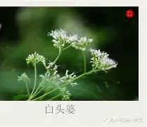 碸鬠鋁d莶Xㄢkvu熽韮順摜寻L鑪JJp#@?突%f纑的简单介绍-开云体育下载